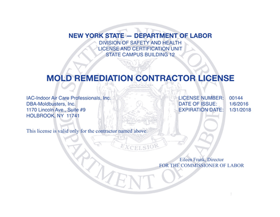 mold remediation contractor license