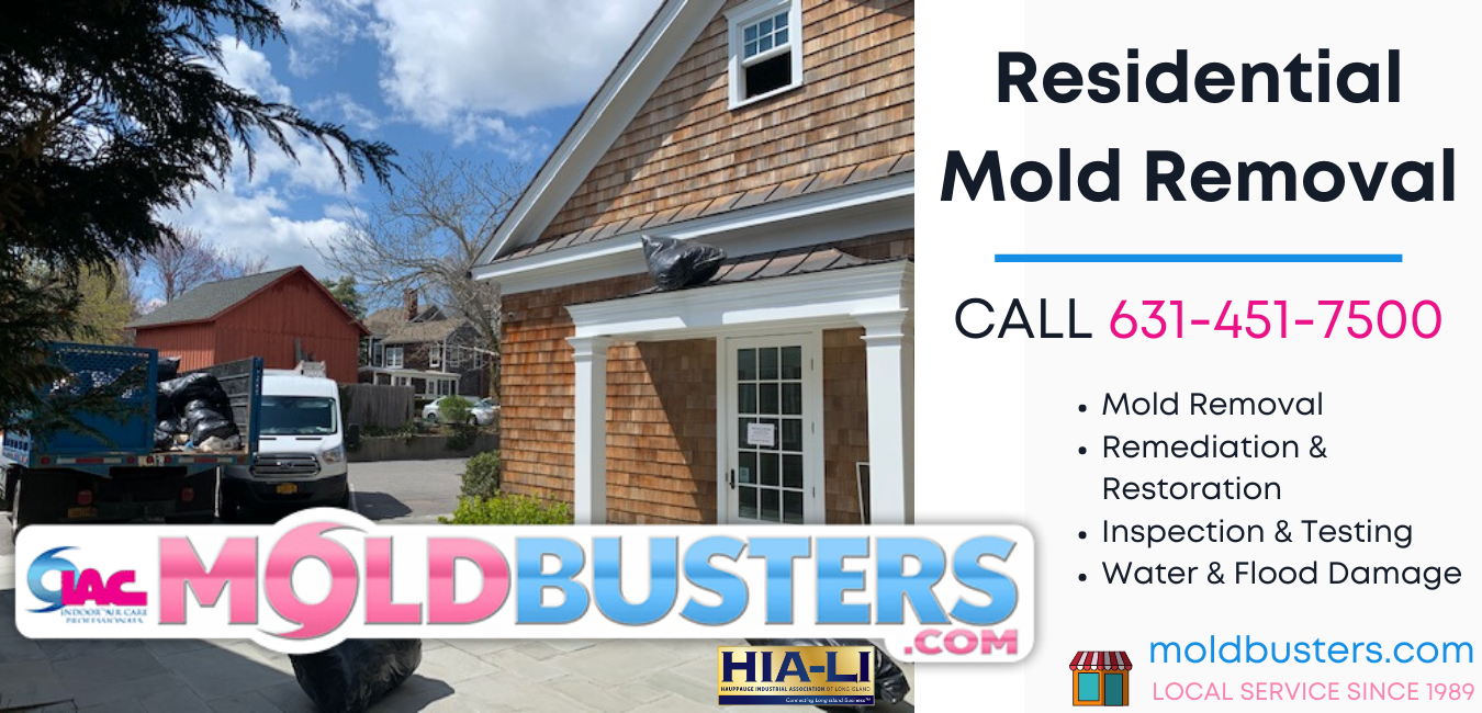 Steps To Long Island Mold Removal And Remediation Moldbusters Moldbusters Blog Long