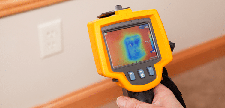 Infrared Thermography Mold Detection